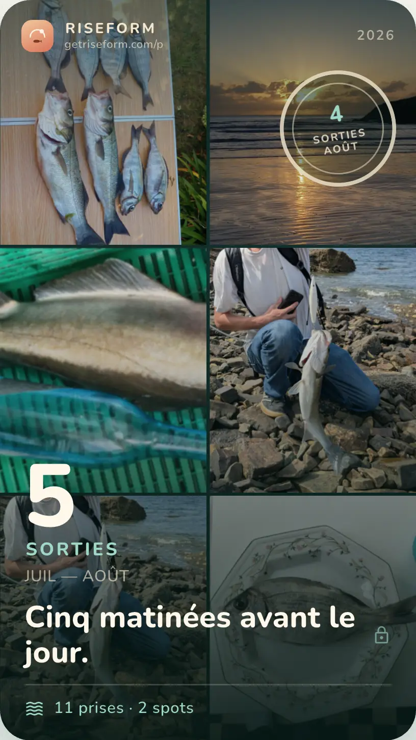 Carte de saison partageable, format story